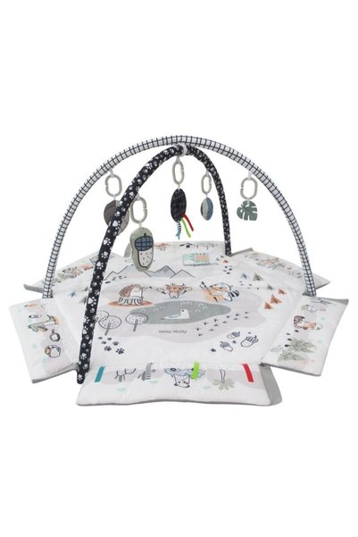Milly Mally Centru de activitati multifunctional 5 in 1