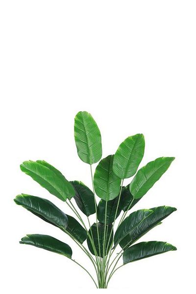 Generic Artificial banana leaf seedling (18 branches) in a cylindrical plastic container