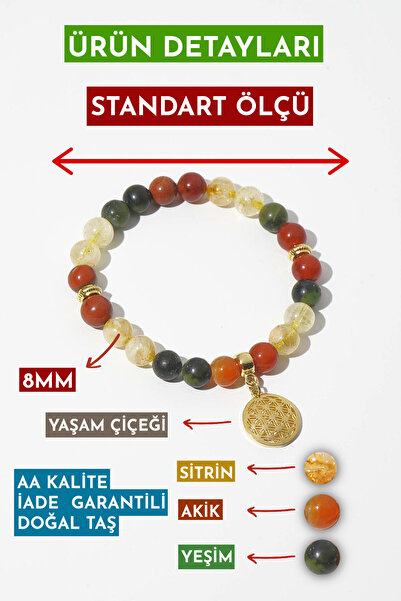 Orenda Design Citrine Natural Stone –Jade–Yemen Agate-Living Flower Bracelet Natural Stone (Money Magnet)
