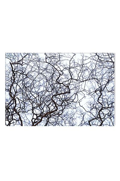 startonight Tablou DualView Startonight Crengi, 60 x 90 cm
