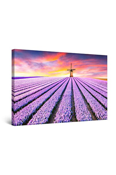 startonight Tablou DualView Startonight Lavanda si Mori de Vant, 90 cm x 60 cm