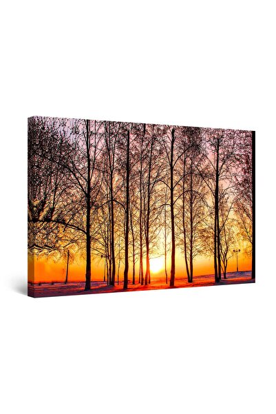 startonight Tablou DualView Startonight Apus printre Plopi, 120 cm x 80 cm