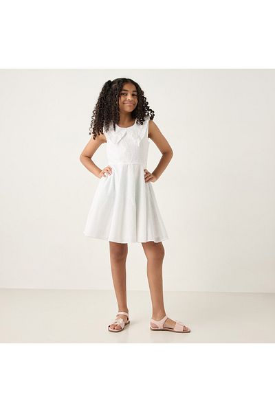 ELIGO All-Over Embroidered Sleeveless Dress with Peter Pan Collar