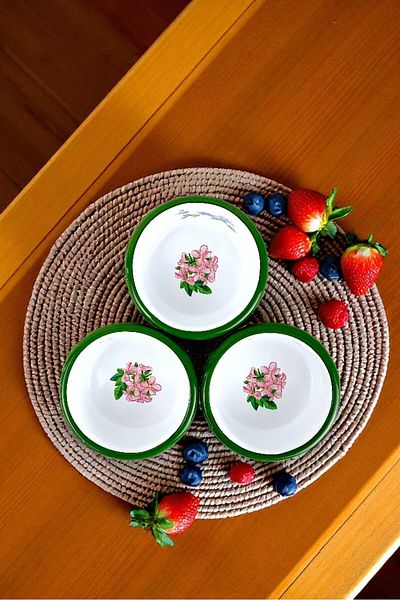 İnci Emaye 3 Piece 10cm Enamel Vertical Plate Set, Breakfast Plate, Jam Bowl, Olive, Cheese Plate, Dowry, Gift