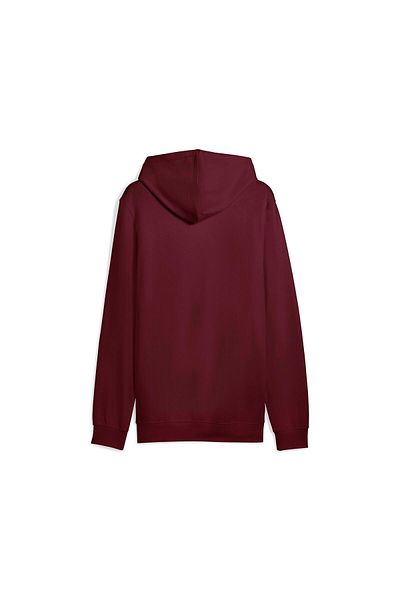 Puma Essentials Elevated Hoodie Men's Sweatshirt