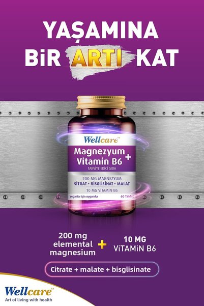 Wellcare مغنيسيوم + فيتامين ب6 60 قرص