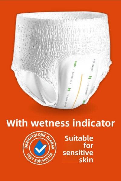 Freshlife Large Absorbent Panties 2 Packs of 30 (60 Pieces)