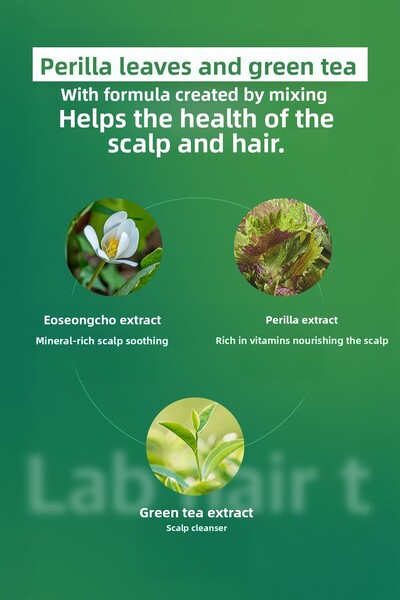 DR BANGGIWON Tonic Anti-Hair Loss Restructuring Intensive Care Strengthening Hair Roots 150 ml