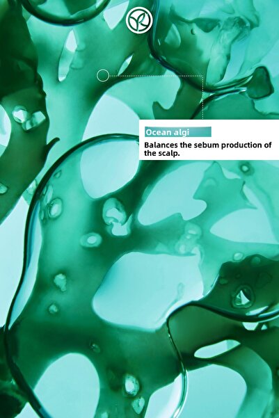 Yves Rocher Pure Detox Vegan Shampoo - Purifying for Oily, Hair, 300 ml Naifkosmetik26