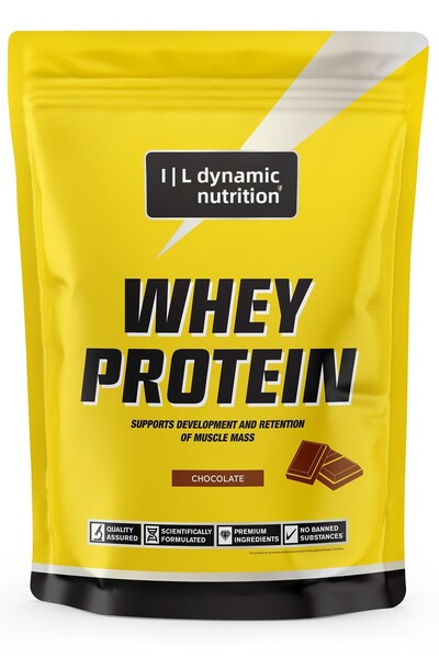 Dynamic Nutrition High Protein Whey Protein Powder - 420 g - Chocolate Flavored Shaker Gift - 14 Serving