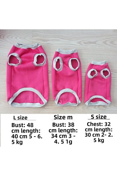 stylie Winter Birthday Special Sleeveless Charmed Cat And Small Breed Dog Outfit