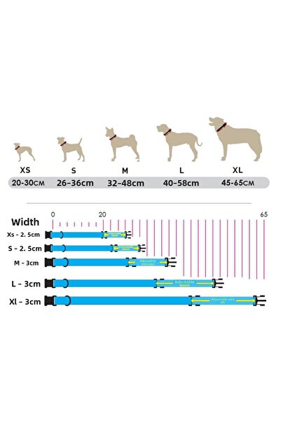 UTDpet Watermelon Dog Collar