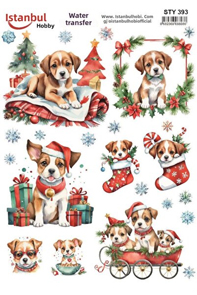 İstanbul Hobi نقل مائي للعام الجديد 25x35 سم STY393