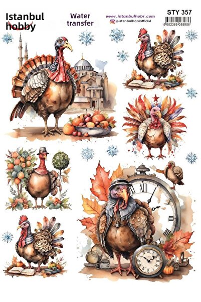 İstanbul Hobi نقل مائي للعام الجديد 25x35 سم STY357