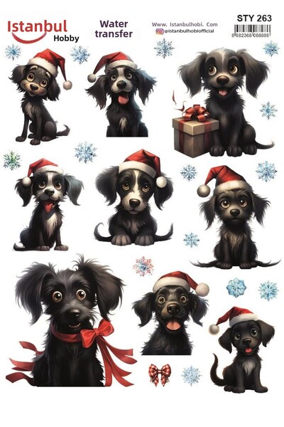 İstanbul Hobi نقل مائي للعام الجديد 25x35 سم STY263