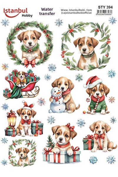 İstanbul Hobi نقل مائي للعام الجديد 25x35 سم STY394