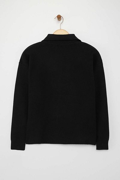 Trendyol Collection Black*001 Premium/Special Yarn Polo Collar Plain Knitwear Sweater Twoaw26Kz00060