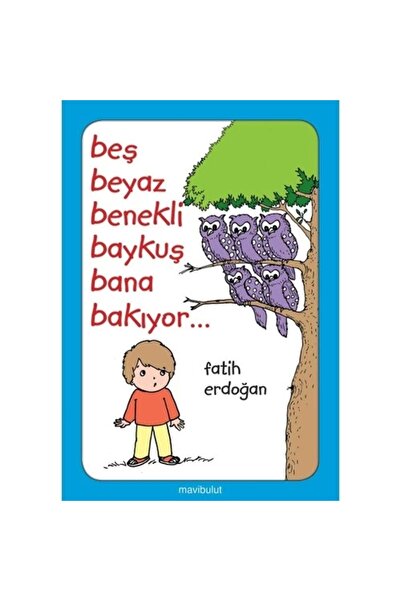 Mavi Bulut Yayıncılık Beş Beyaz Benekli Baykuş Bana Bakıyor Fatih Erdoğan