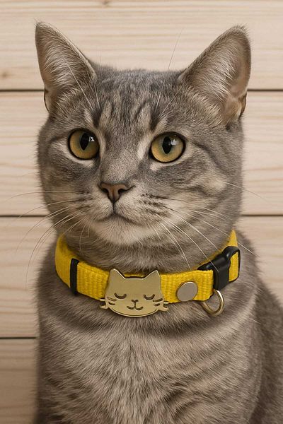 Dino Pet Butik Aksesuar Cat Collar
