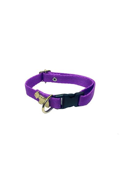 Dino Pet Butik Aksesuar Dog figure neck collar