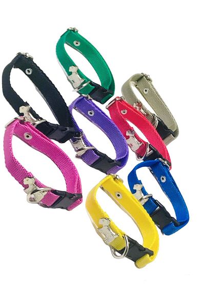 Dino Pet Butik Aksesuar Dog figure neck collar