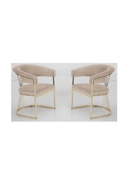 Casafun Set of 2 Armchairs, Master, velvet, gold metal legs and back, for cafe, restaurant, terraces, bar
