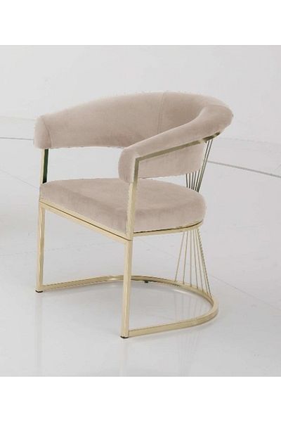 Casafun Set of 2 Armchairs, Master, velvet, gold metal legs and back, for cafe, restaurant, terraces, bar
