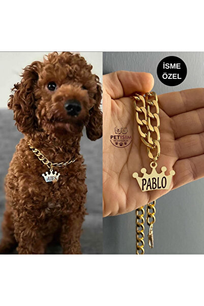 PETİSİM PET AKSESUARLARI Isimli Köpek Tasması Köpek Isimlik Künye Zincir Pasl...