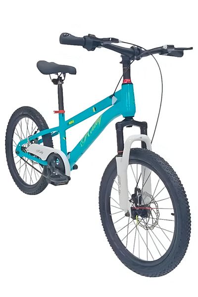 rexa Freestyle Classic Air Tyre Bicycle kids Bike Size 20