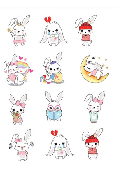 Reysa Tasarım Tavşan ve Ruh Halleri Sticker Set