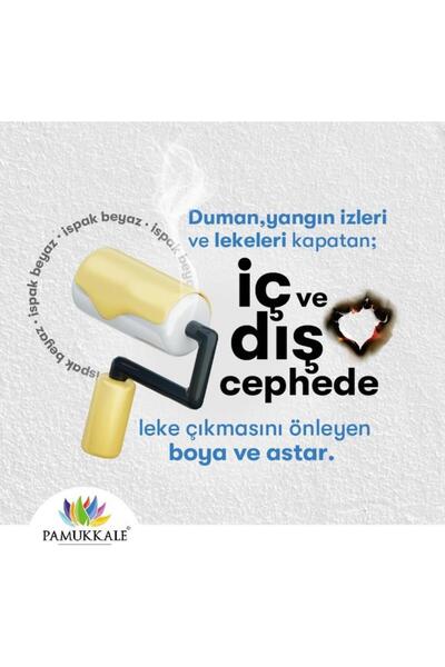 Pamukkale İspak Nikotin,Yağ,İs,Rutubet,Nem,Küf,Mürekkep,Ruj Leke Örtücü 750 Gr