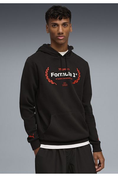 Puma Pánská mikina s kapucí F1® Essentials Logo Graphic