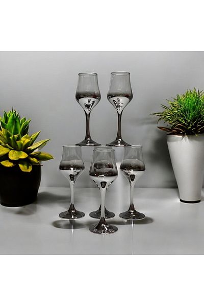 FERİS Footed Titanium Plated Silver Coffee Side Water Glass