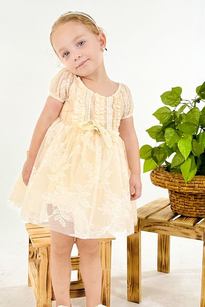 Baby Animals Baby Girl Girl Kid Birthday Party Wedding Dress Short Sleeve Ruched Lined Dress