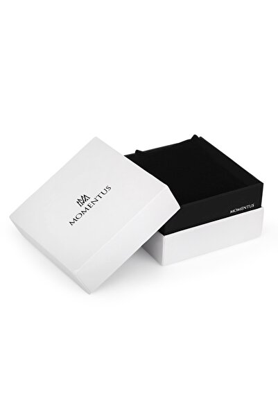 Momentus Cc235b-04ss Men's Wristwatch