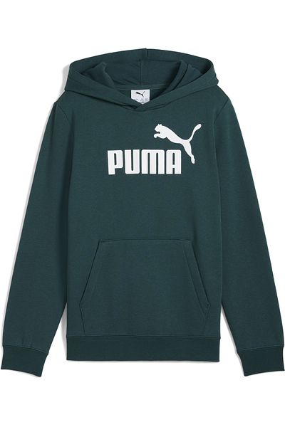 Puma ESS No. 1 Logo Fleece Hoodie Youth