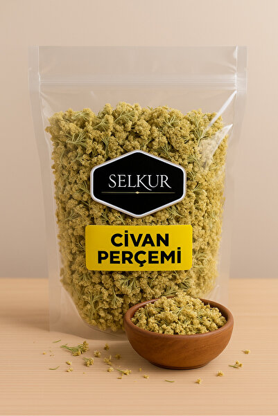 SELKUR Civan Perçemi,ayvadana,kandil Çiçeği, Achillea 100gr