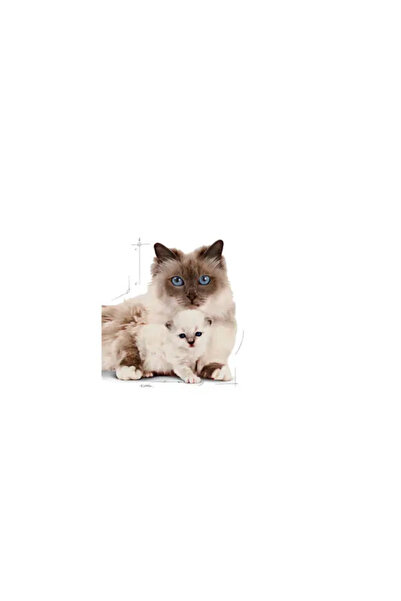 Royal Canin Mother&BabyCat Gebe/Laktasyondaki Anne ve Yavru Kedi için Kuru Kedi Maması 400g
