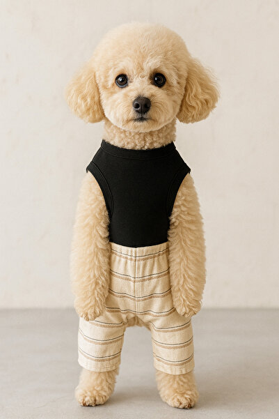 Buddy Store Kedi & Köpek Kıyafeti Giysileri Kıyafetleri - Şort Tişört Takım Siyah Baskısız