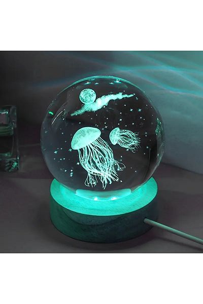 Wolawood Premium Crystal Glass Snow Globe 3D Illuminated Rgb Lamp Wooden Base Led Decorative USB Gift Set