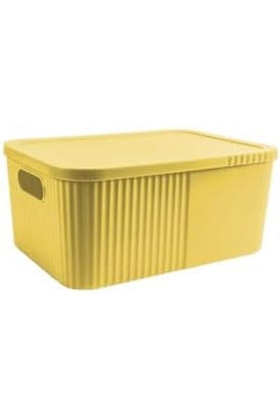 Mena Rise Şirinshop 12 L Large Box with Lid 1108107