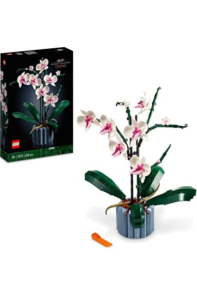 AyrStore ICONS Orkide 10311 - Yetişkinler İçin Dekoratif, Koleksiyonluk ve Se...