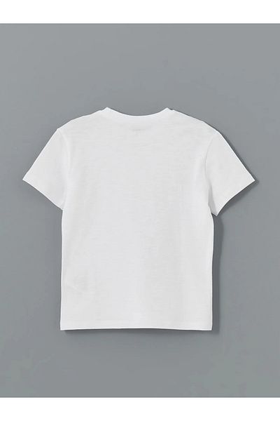 LC Waikiki Crew Neck Basic Boys' T-Shirt