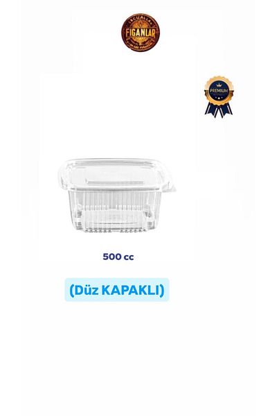 figanlar ambalaj 500Cc Deep Leak Proof Plastic Container with Self Lid 100 Pieces