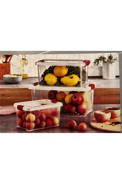 Est Home 3-Piece Storage Container Airtight Locking Lid Storage Box Toy Box Organizer 9-5-2.5 Lt
