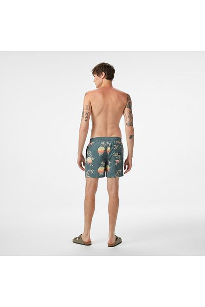 BİLLABONG Vacay lb Men's Blue Volley Short Men's Volley Short Ebyjv00144