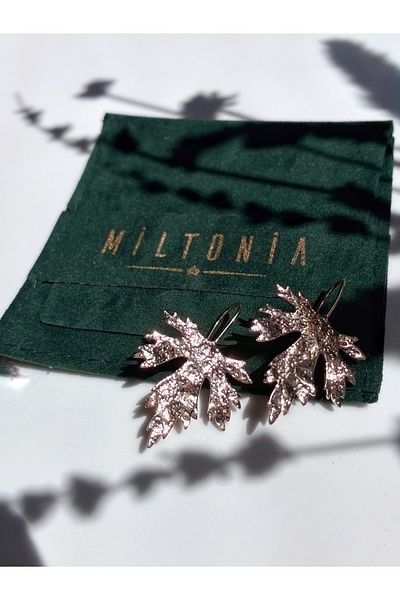 Miltonia Leaf Earrings