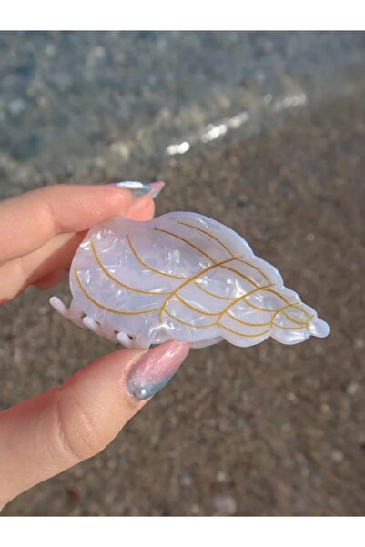 Reorah Collection Snail Shell Buckle