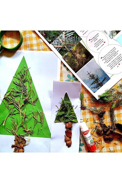 JUCARII VORBARETE Summer Diary – Little Explorer's Map