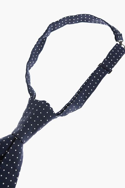 Corneliani Cravată de ceremonie Ascot cu micro-carouri